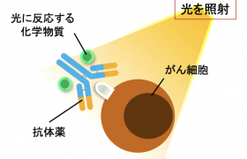 img-fluid rounded-start