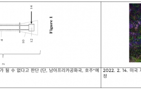 img-fluid rounded-start