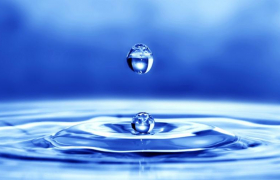 img-fluid rounded-start