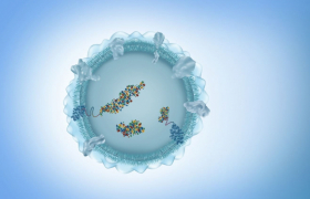 img-fluid rounded-start